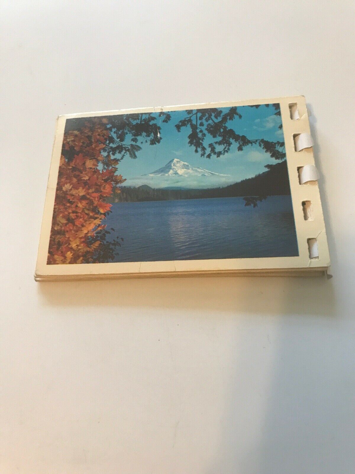 7 Mini Souvenir Postcard Photo Booklet Columbia River Country Full Color