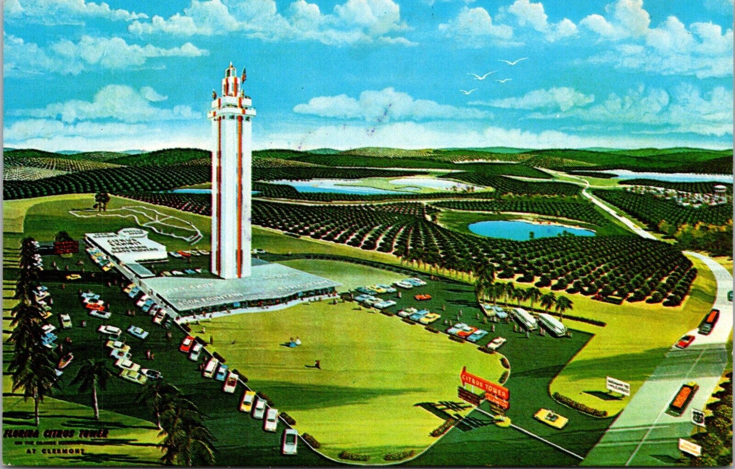 Postcard Clermont Florida Citrus Observation Tower