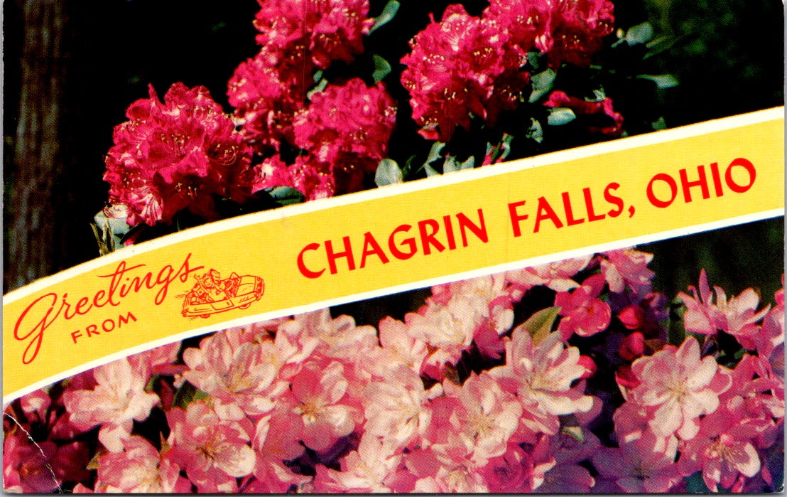Vintage Postcard Flowers Greetings From Chagrin Falls Ohio United States