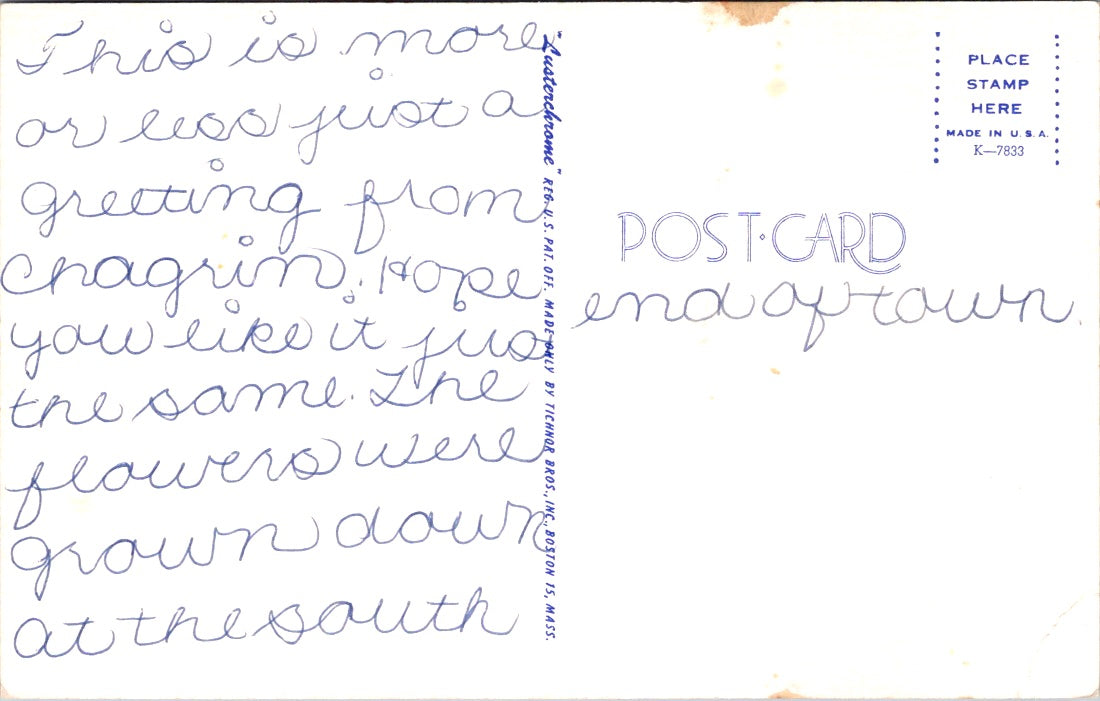 Vintage Postcard Flowers Greetings From Chagrin Falls Ohio United States