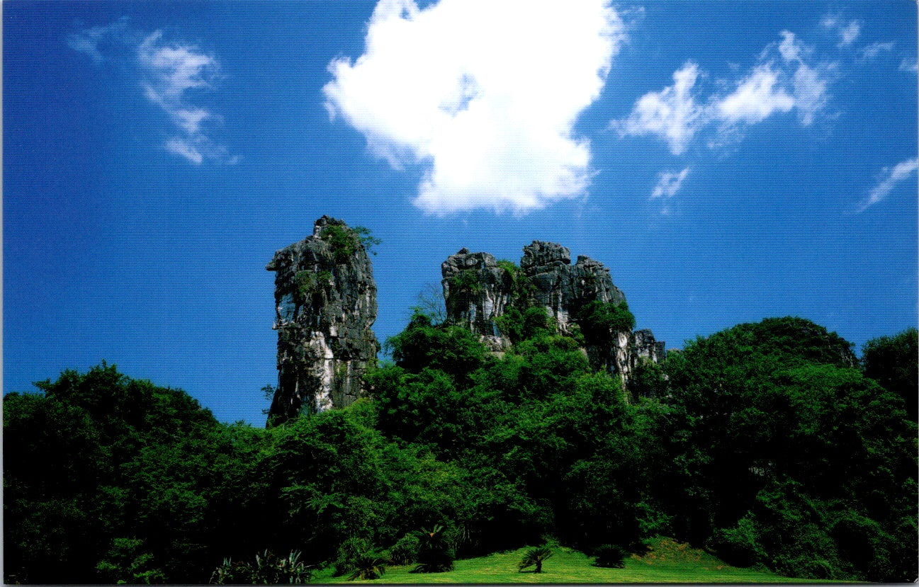 Vintage Old Postcard Night View Of The Camel Hill China Unposted