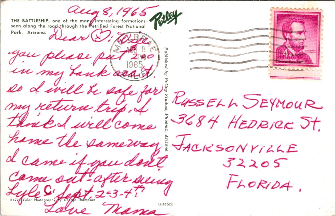 Vintage Postcard The Battlefield Of Petrified Forest Arizona Posted 1965
