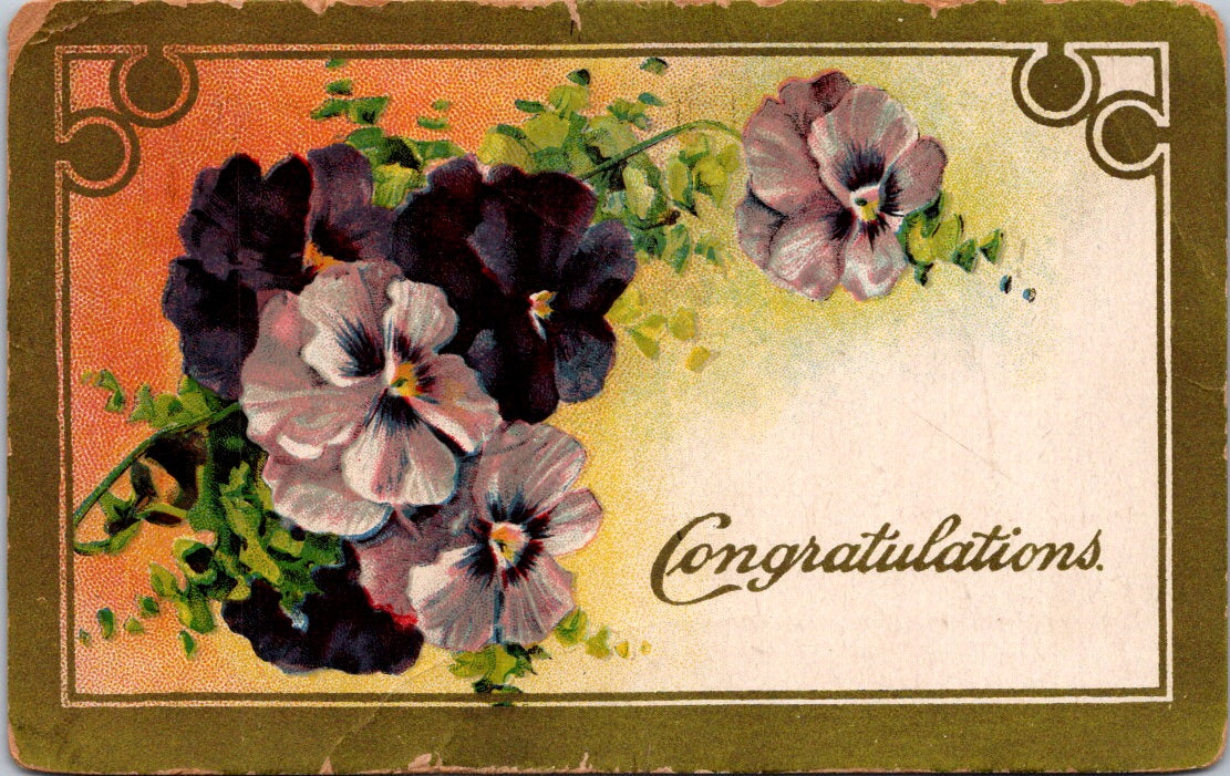 Vintage Postcard Flowers Congratulations Greetings Posted 1911 US One Cent