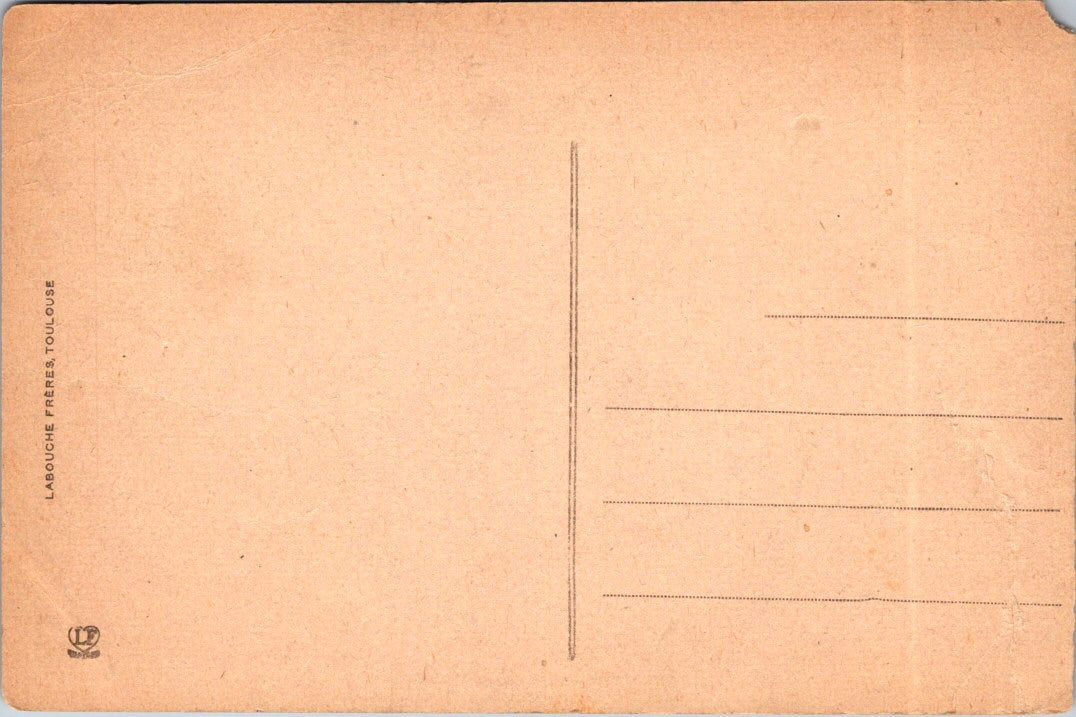 Vintage Postcard Generale View Of Gave de Pau Pyrénées Atlantiques France