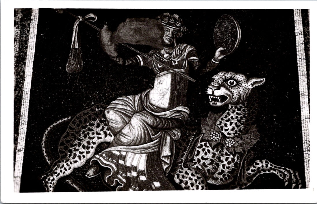 Vintage Postcard Mosaic The Dionysus Of The Tiger Delos Greece Unposted