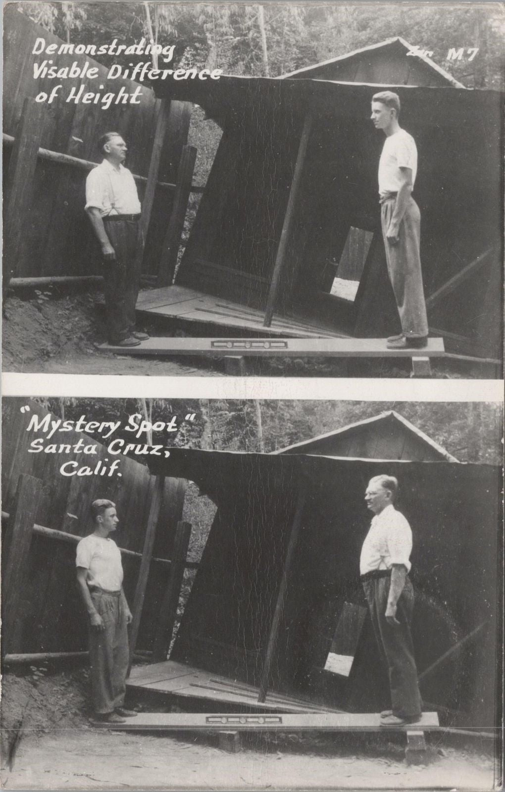 Vintage Postcard Post Card Mystery Spot Santa Cruz Men CA RPPC