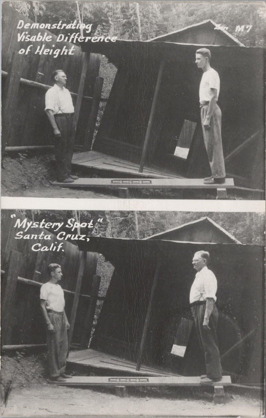 Vintage Postcard Post Card Mystery Spot Santa Cruz Men CA RPPC