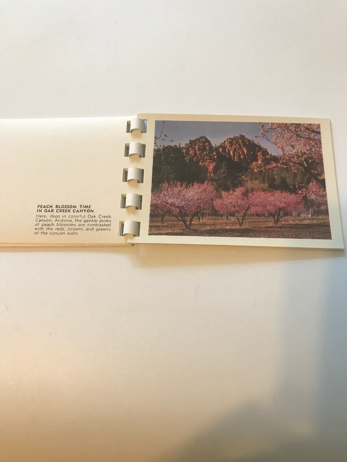 Postcard Booklet Book Oak Creek Canyon AZ 10 Natural Color Views Kodachromes ss