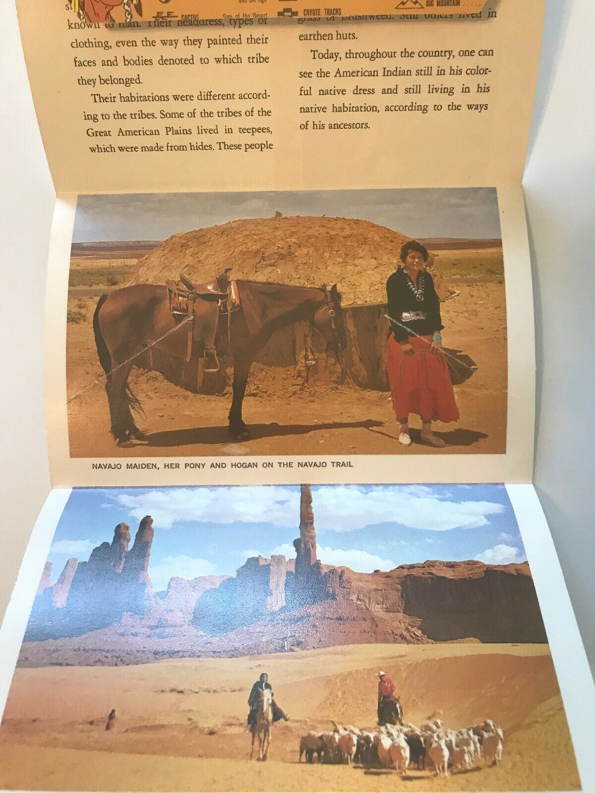 Postcard Booklet 13 Full Color Views Indians of the Southwest Native American ss