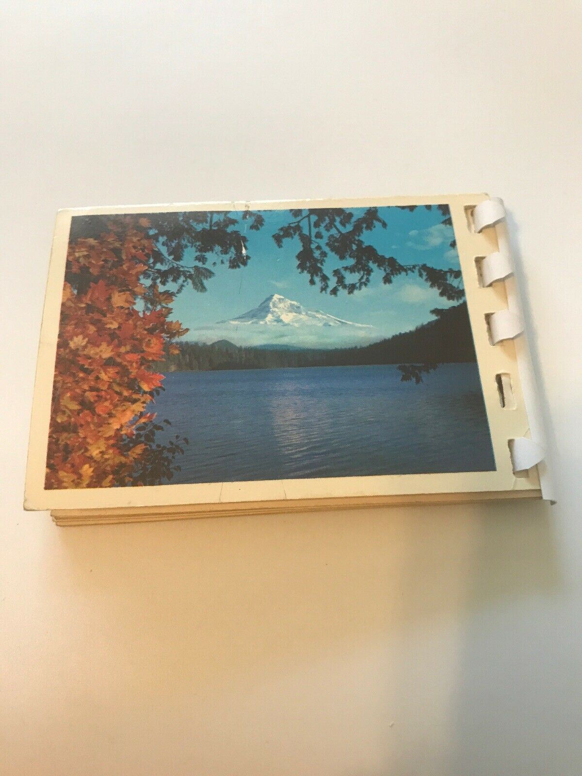 7 Mini Souvenir Postcard Photo Booklet Columbia River Country Full Color