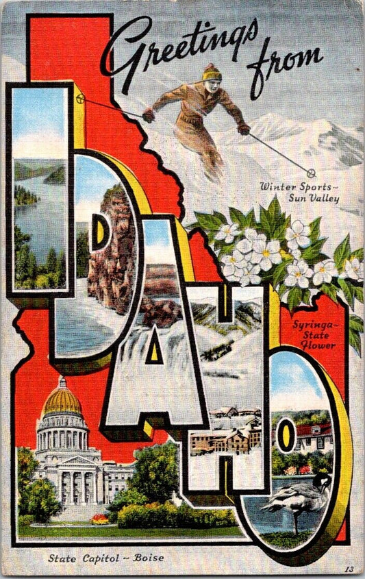 Postcard Post Card Greetings From Idaho Winter Skiing