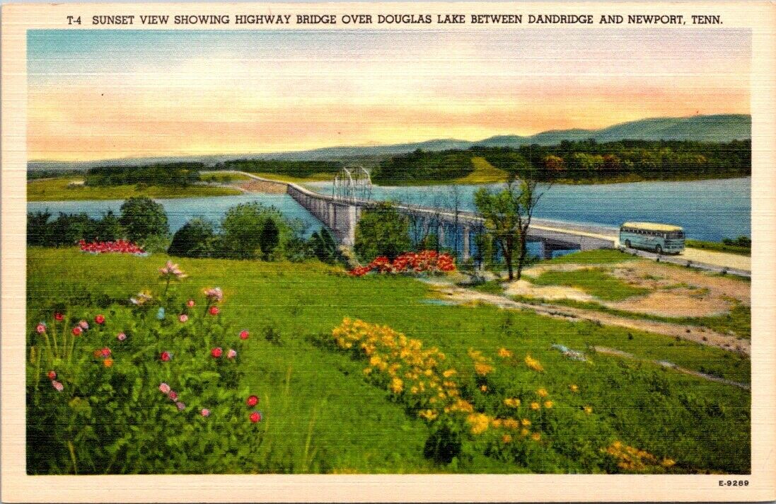 Postcard Divided Back Unposted Bridge Douglas Lake Dandridge & Newport Tennessee