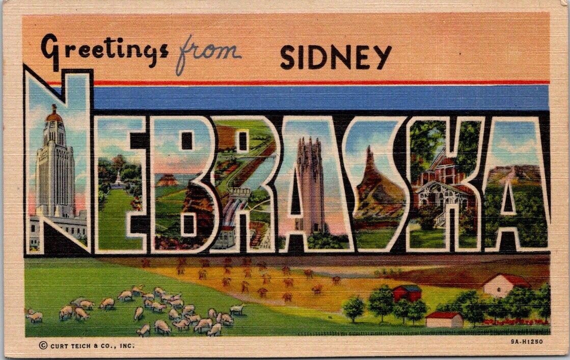 Postcard Post Card Divided Back Unposted Sidney Nebraska