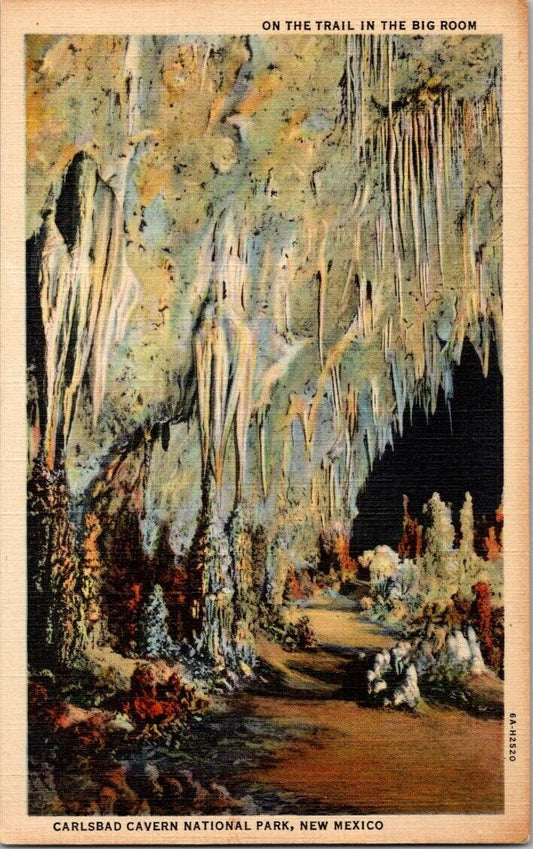 Postcard Post Card Carlsbad Cavern New Mexico Cave Big Room Unposted