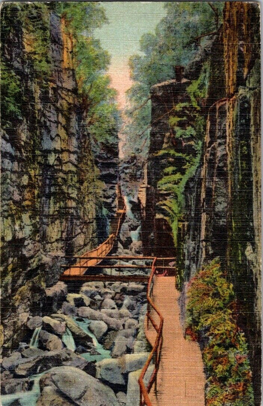 Postcard Post Flume Gorge White Mountains New Hampshire Posted Red 2 Cent Stamp