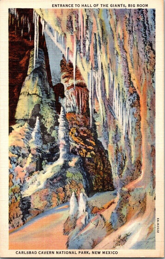 Postcard Post Card Carlsbad Cavern New Mexico Entrance Big Room Unposted