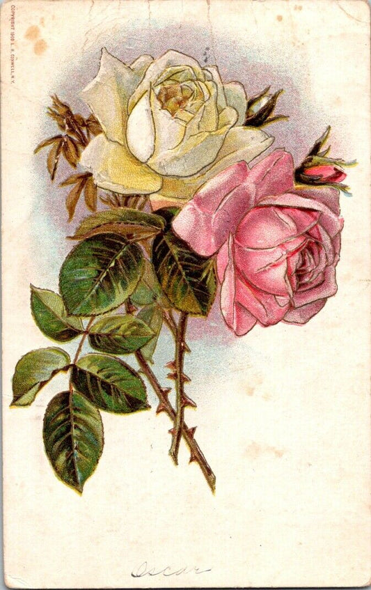 Vintage Postcard Pink White Roses 1910 US Postage One Cent