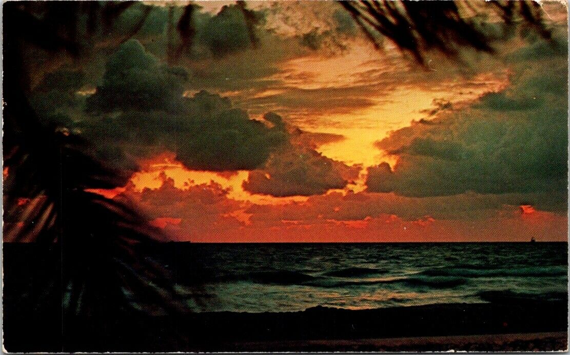 Postcard Vintage Beautiful Tropical Florida Sunset 1972 Eisenhower USA 6 Cents