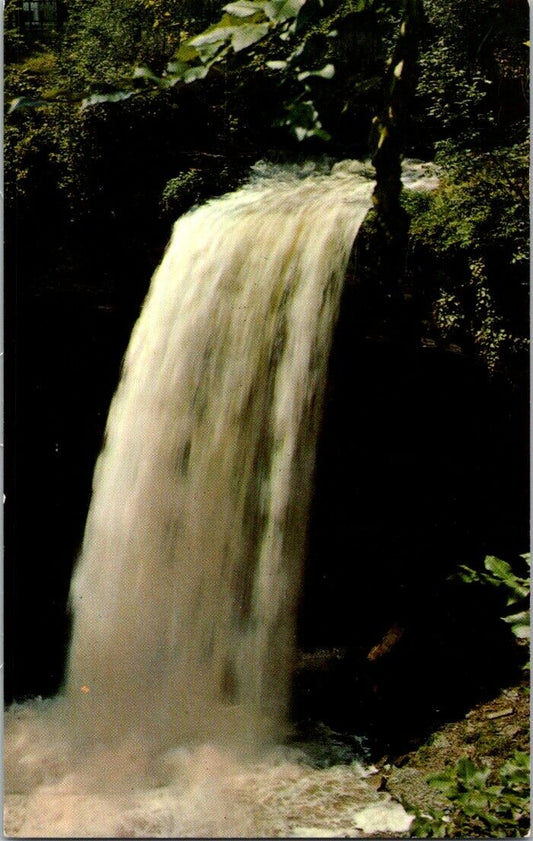 Vintage Postcard Minnehaha Falls Minneapolis Minnesota City Of Laker And Parks