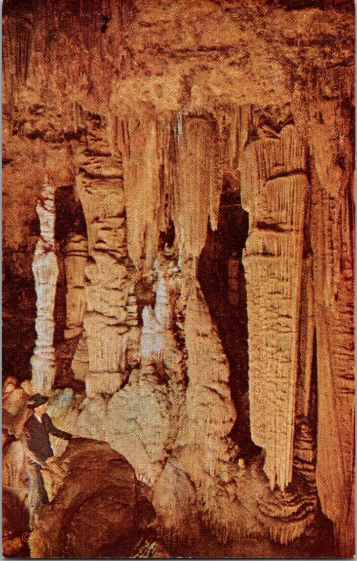 Vintage Postcard The Beautiful Caverns Of Lurray Virginia Giant Hall Unposted