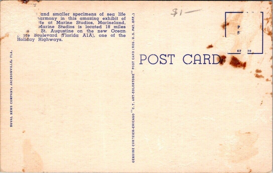Postcard Vintage M-10 Sharks And Shipwrecks At Marine Studios Marineland Florida
