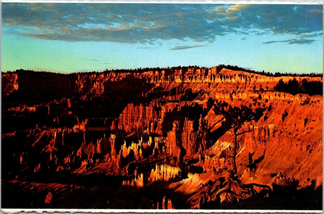 Postcard Sunrise At Sunrise Point Bryce Canyon National Park Utah Unposted