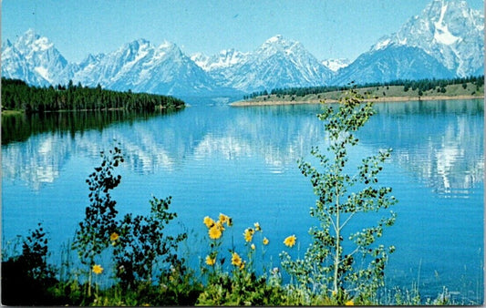 Vintage Postcard Jackson Lake Grand Teton National Park In Northwestern Wyoming