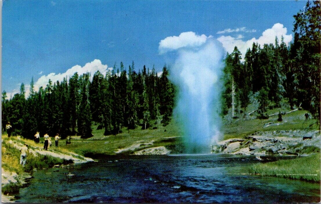 Vintage Postcard Riverside Geyser Yellowstone National Park Unposted