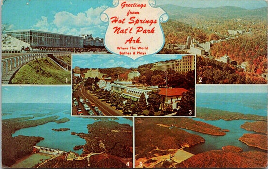 Vintage Postcard Hot Springs National Park Where The World Bath And Plays