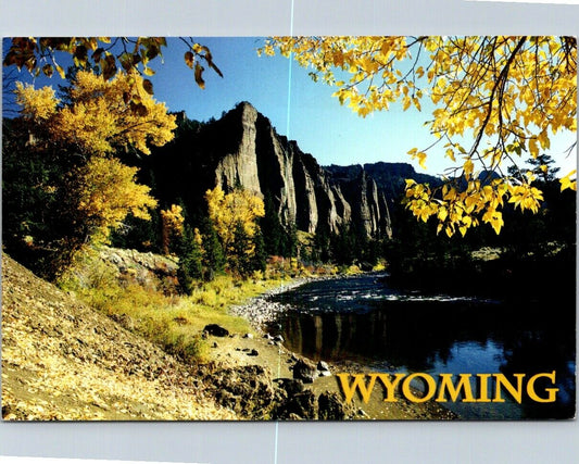 Vintage Postcard Wapiti Palisades Wyoming Cody Road Yellowstone Unposted