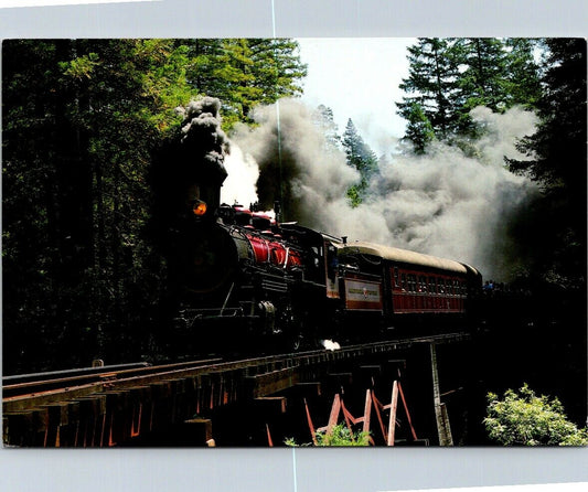 Vintage Postcard California Western Railroad Fort Bragg California Super Skunk