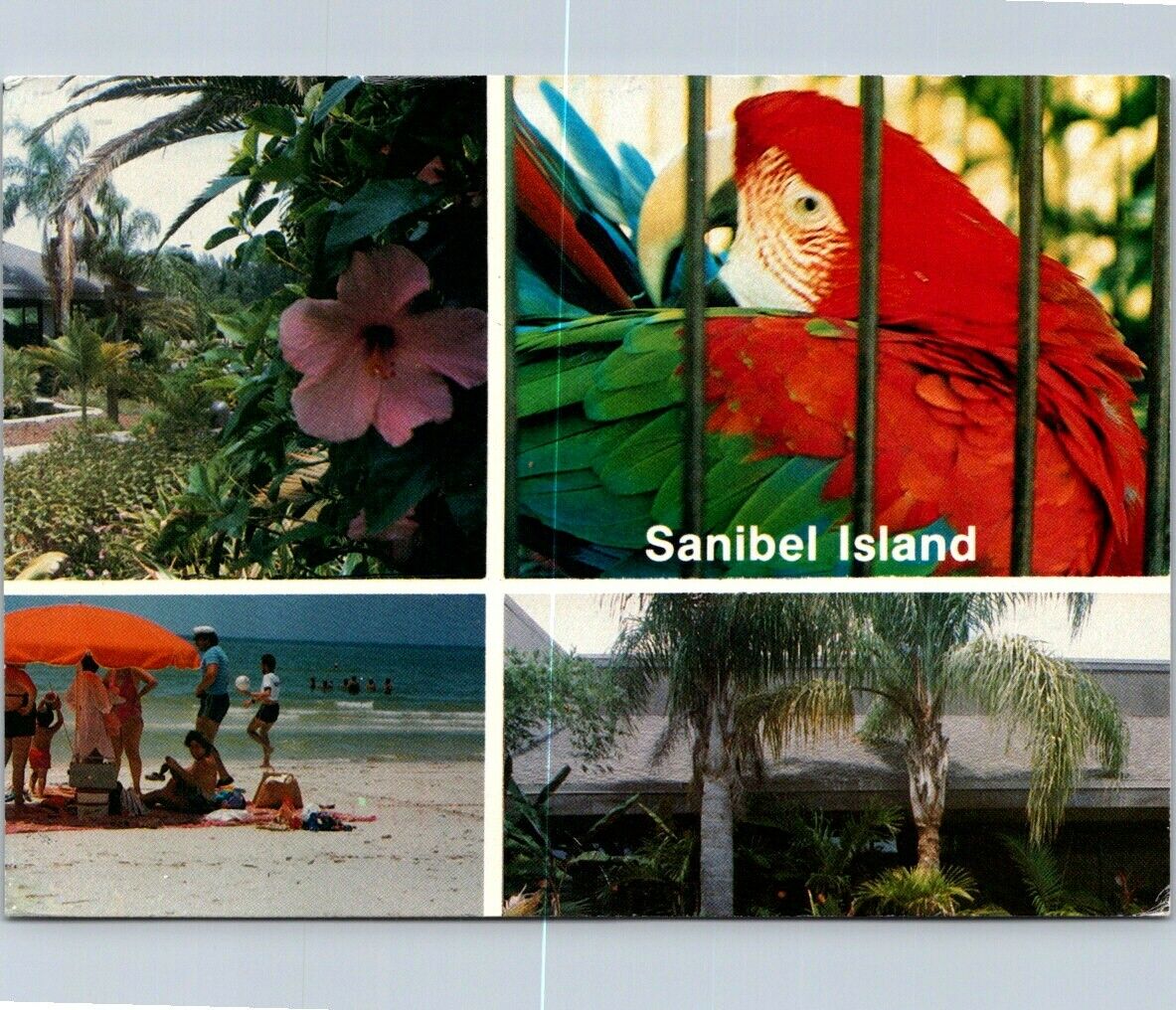 Postcard Selected Scenes Of Fabulous Sanibel Island Of Florida Posted 1993