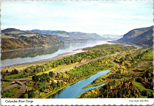 Vintage Postcard Columbia River Gorge Oregon And Washington East Vista House