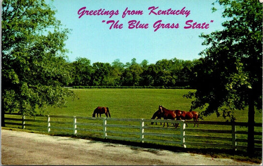 Vintage Postcard Greetings From Kentucky Blue Grass State Horse Farm Unposted