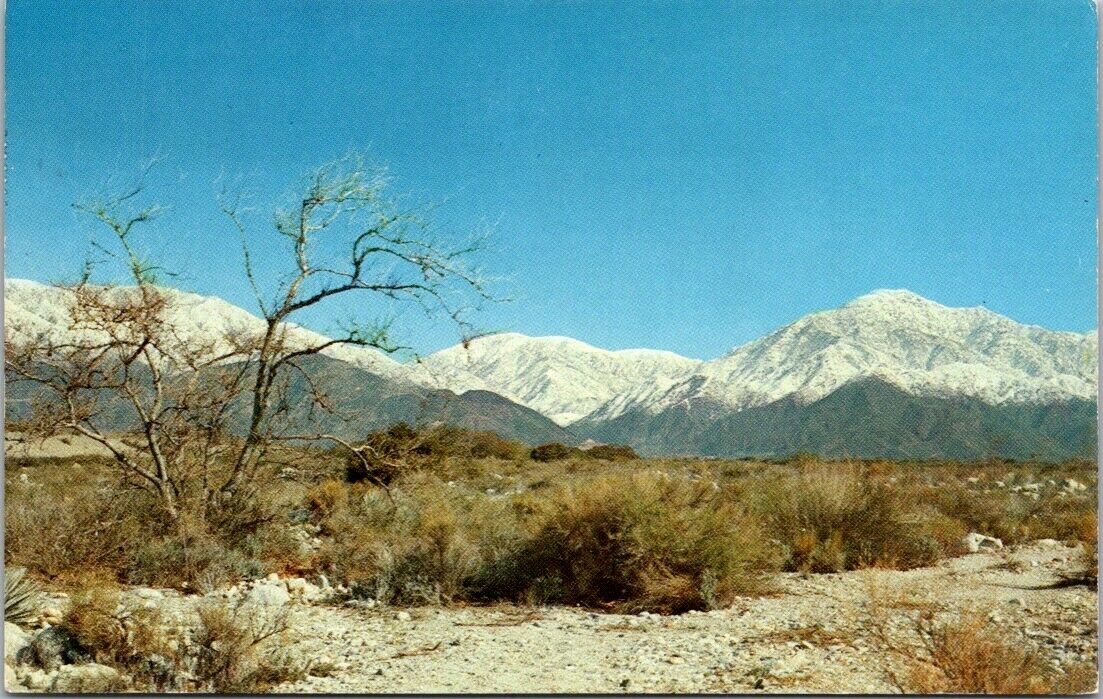 Vintage Postcard Old Baldy Elevation 10, 080 Ft. Ontario Peak Unposted