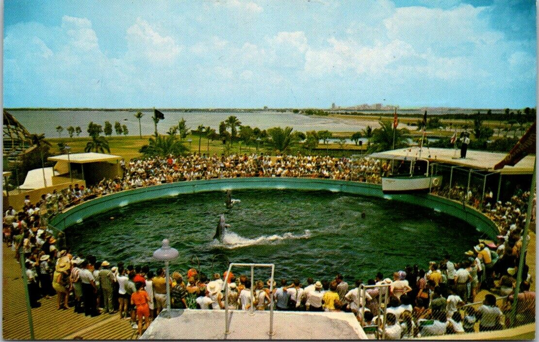 Vintage Postcard Cha Cha Miami's Fabulous Seaquarium Miami Florida Unposted