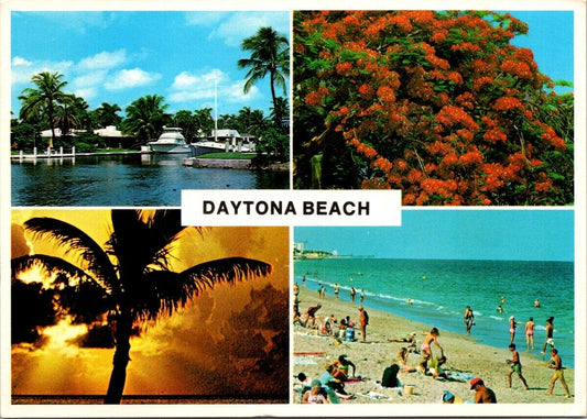 Postcard Vintage Tropical Daytona Beach Florida United States Unposted