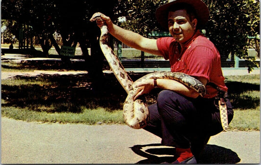 Vintage Postcard Boa Constrictor Mesa Arizona United States Jack Adam Unposted