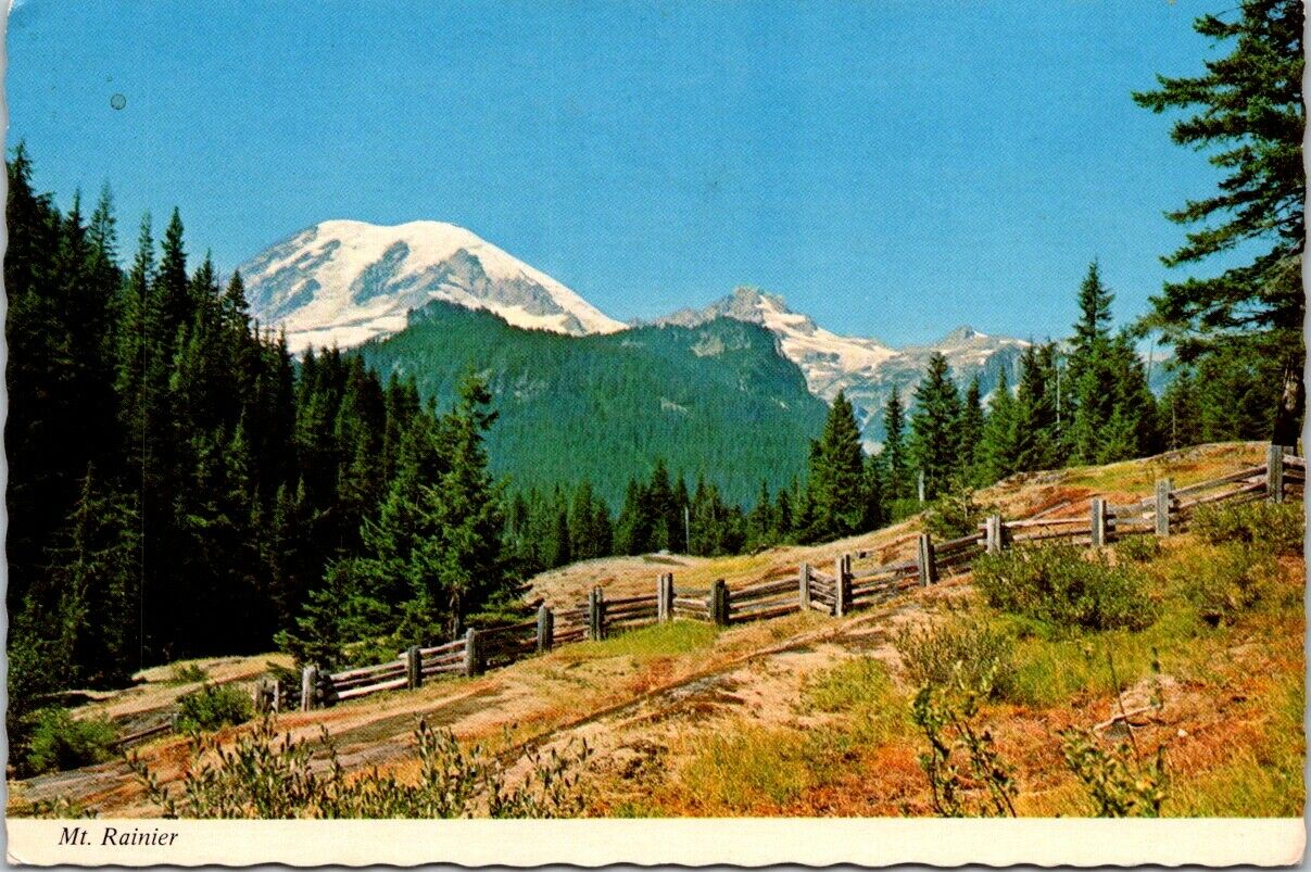 Vintage Postcard Glacier Vista Mt. Rainier National Park Paradise Side Unposted