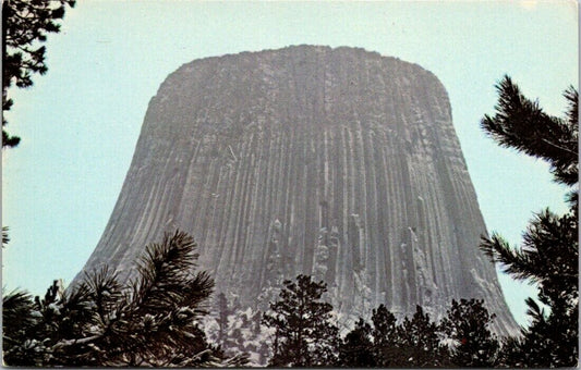 Vintage Postcard Devil's Tower 800-Foot Walls Wyoming United States Unposted