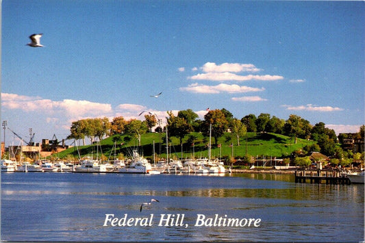 Vintage Postcard Federal Hill Baltimore Maryland USA Unposted Litho In Taiwan