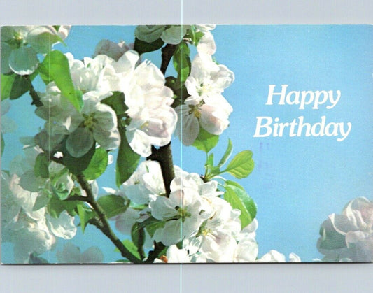 Vintage Postcard White Flower Happy Birthday Greetings Posted 1986 Dayton Ohio