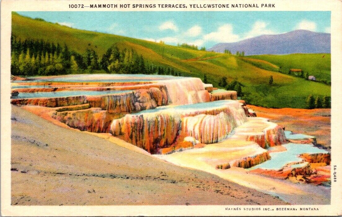 Vintage Postcard Mammoth Hot Spring Terraces Yellowstone National Park Posted