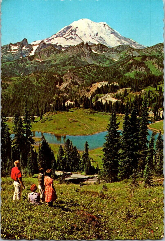 Postcard Vintage Mount Rainier NAtional Park Tipsu Lake Washington Unposted