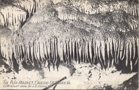 Vintage Postcard Scenery The Fish Market Caverns Of Luray Virginia Unposted