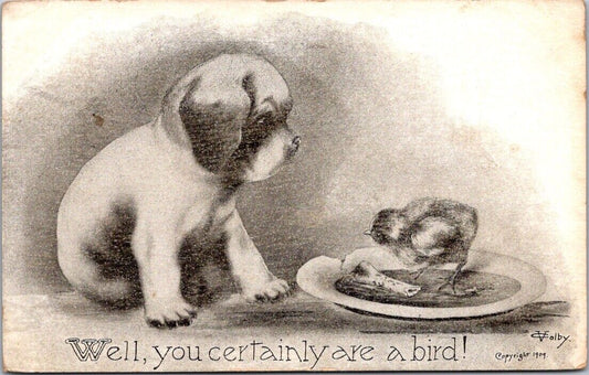 Vintage Postcard Well You Are Certainly Are A Bird Humor Puppy Posted 1911