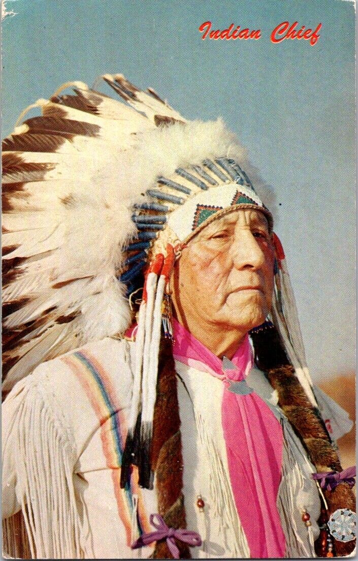 Vintage Postcard Photo Of An Indian Chief Unposted