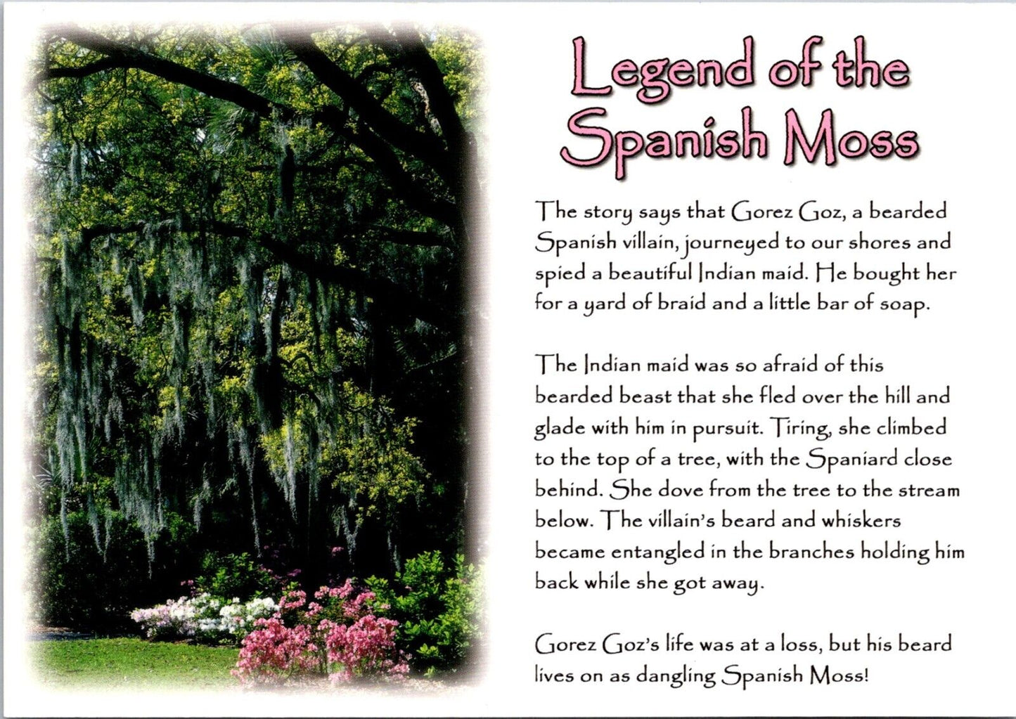 Postcard Post Card Legend of Spanish Moss by William Cornelia