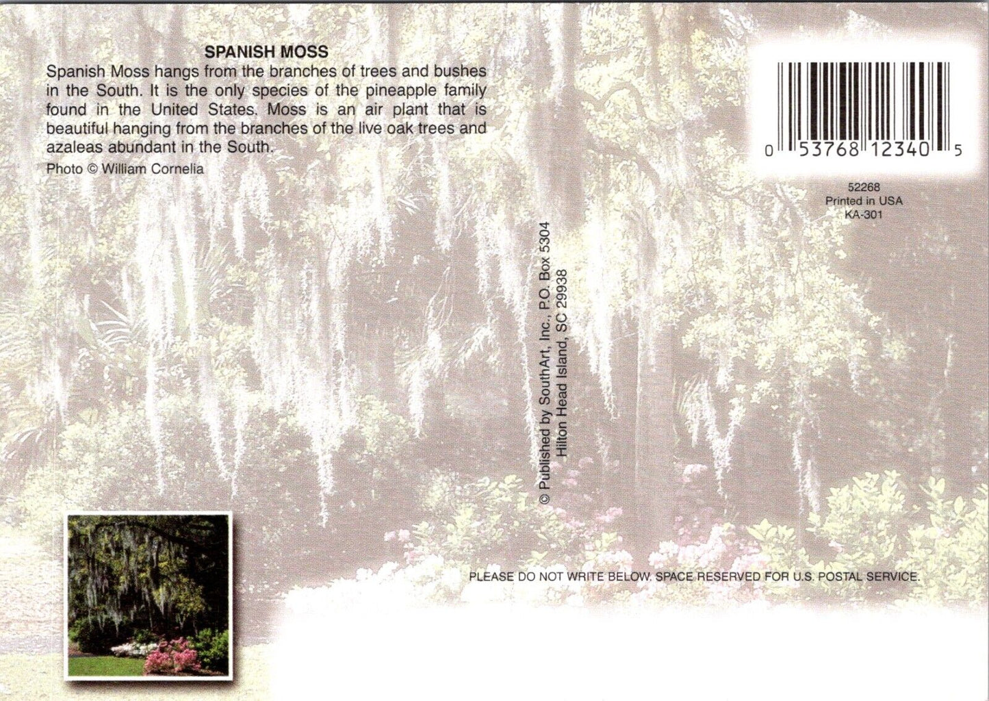 Postcard Post Card Legend of Spanish Moss by William Cornelia