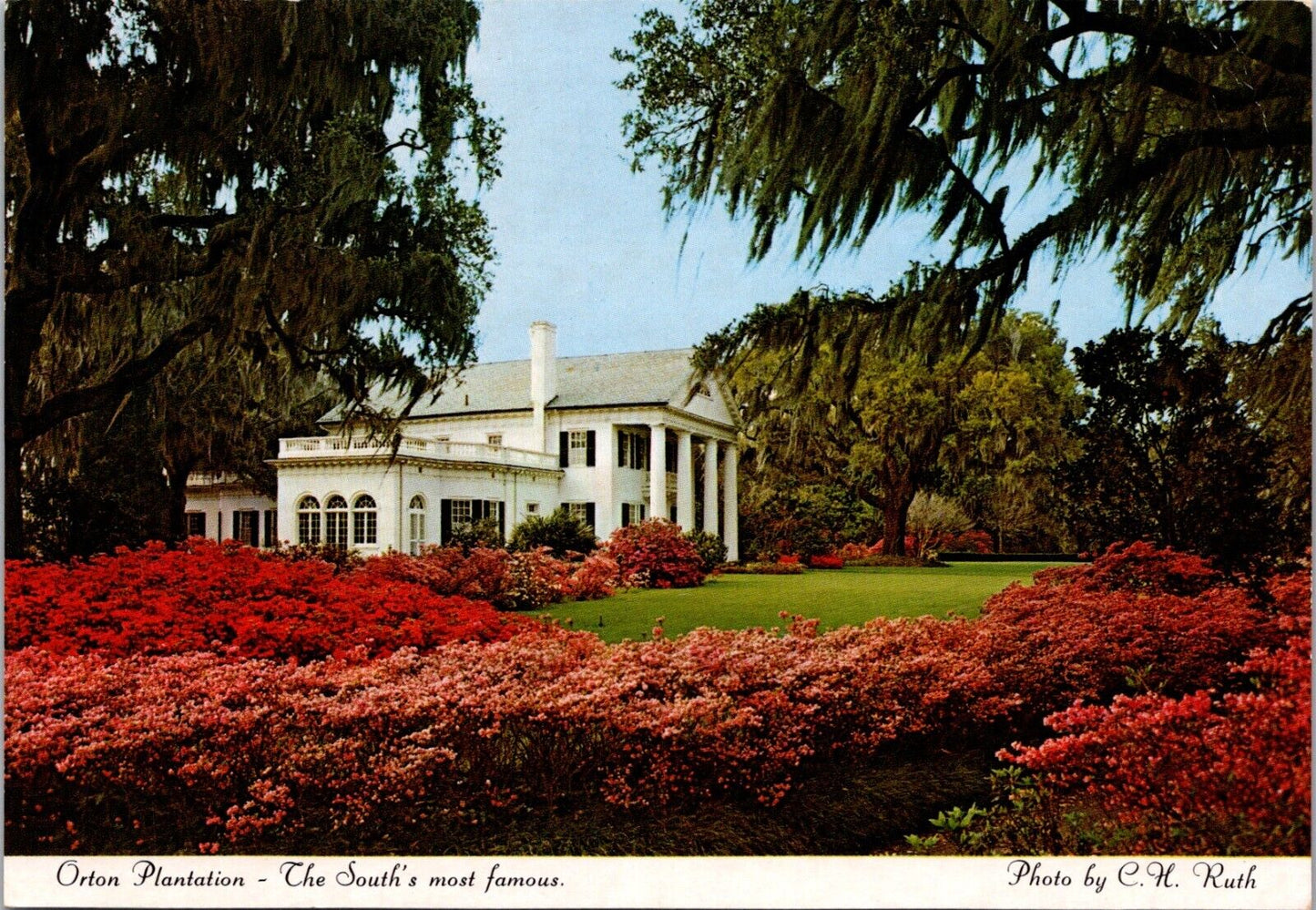 Postcard Post Card Orton Plantation and Garden Wilmington North Carolina